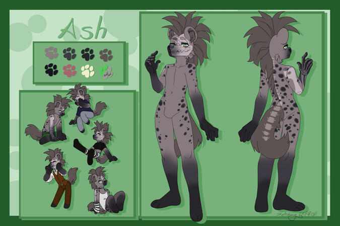 Ash Ref